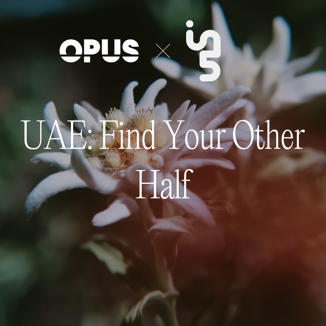 Find Your Other Half — Founder Connections
